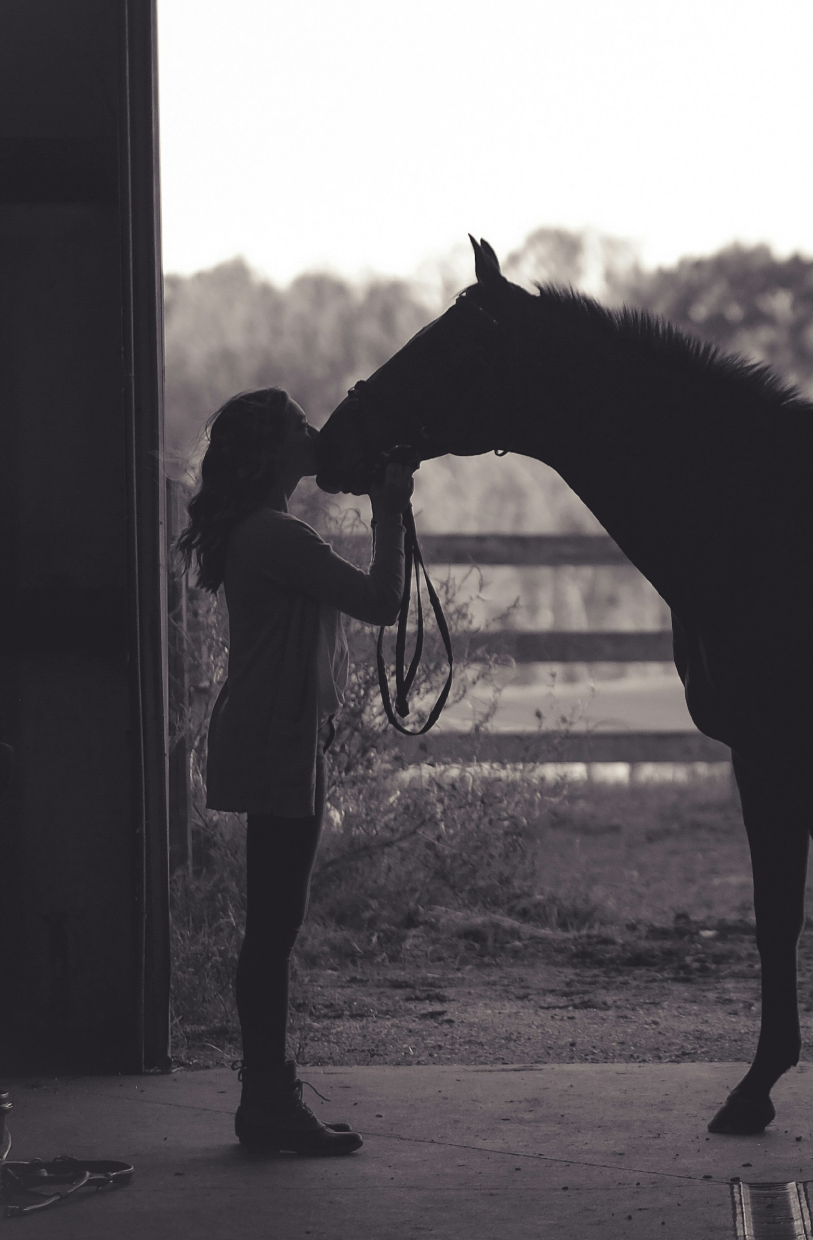 Work life horse balance